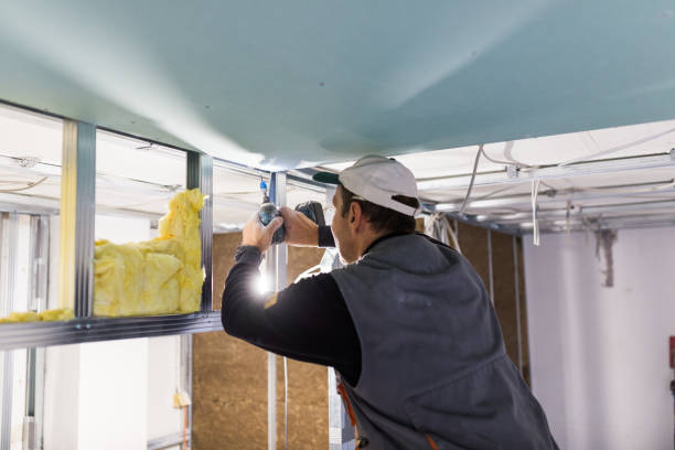 Best Insulation Repair Services  in Stuart, FL