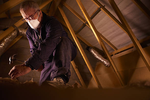 Best Affordable Insulation Services  in Stuart, FL